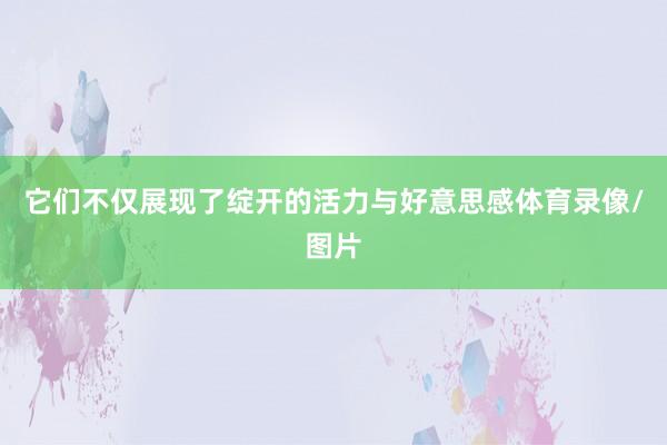 它们不仅展现了绽开的活力与好意思感体育录像/图片
