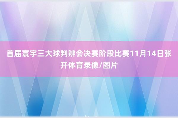 首届寰宇三大球判辨会决赛阶段比赛11月14日张开体育录像/图片