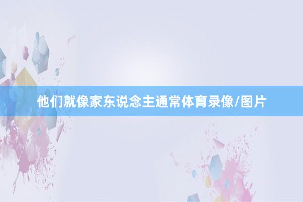 他们就像家东说念主通常体育录像/图片