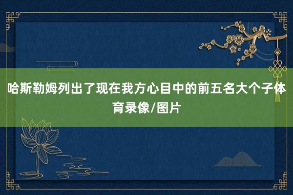 哈斯勒姆列出了现在我方心目中的前五名大个子体育录像/图片