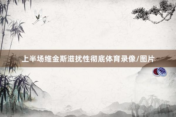上半场维金斯滋扰性彻底体育录像/图片