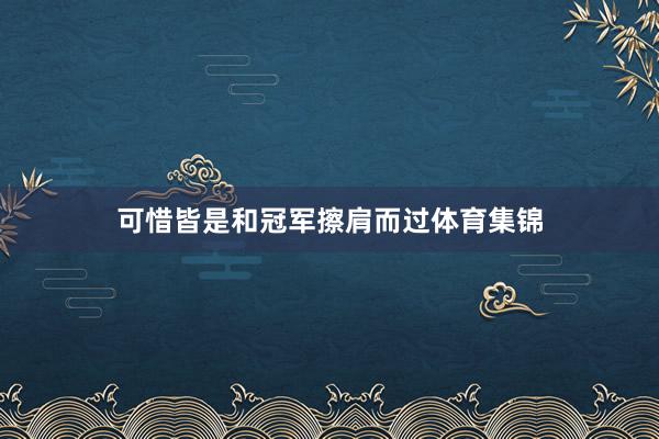 可惜皆是和冠军擦肩而过体育集锦