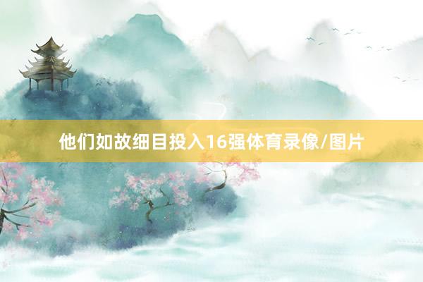 他们如故细目投入16强体育录像/图片