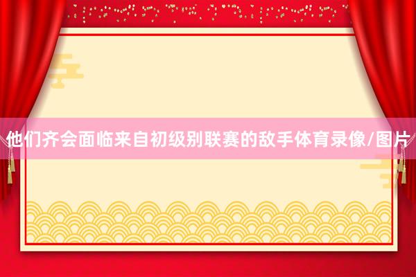 他们齐会面临来自初级别联赛的敌手体育录像/图片