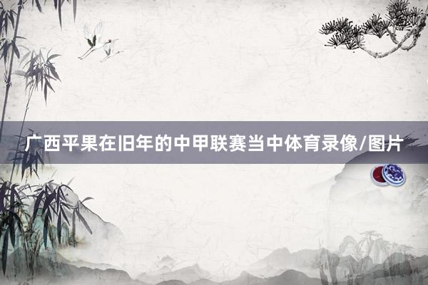广西平果在旧年的中甲联赛当中体育录像/图片