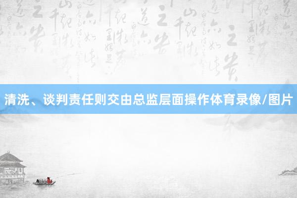 清洗、谈判责任则交由总监层面操作体育录像/图片