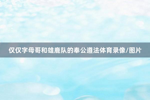 仅仅字母哥和雄鹿队的奉公遵法体育录像/图片