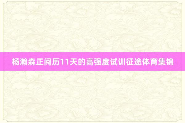 杨瀚森正阅历11天的高强度试训征途体育集锦