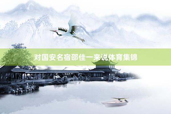 对国安名宿邵佳一来说体育集锦