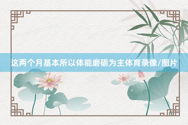 这两个月基本所以体能磨砺为主体育录像/图片
