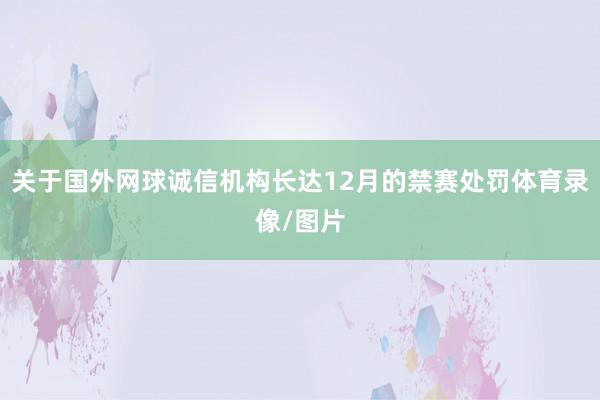 关于国外网球诚信机构长达12月的禁赛处罚体育录像/图片