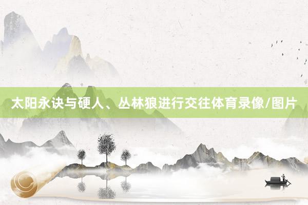 太阳永诀与硬人、丛林狼进行交往体育录像/图片