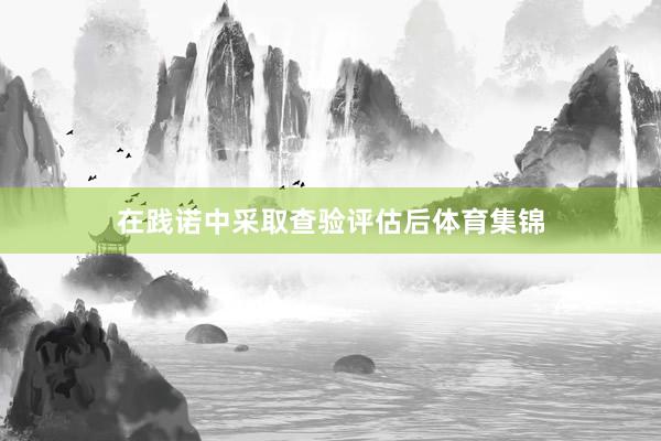 在践诺中采取查验评估后体育集锦