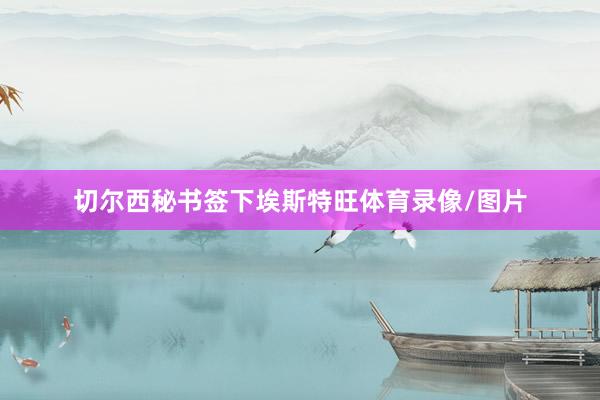 切尔西秘书签下埃斯特旺体育录像/图片