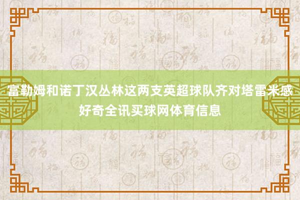 富勒姆和诺丁汉丛林这两支英超球队齐对塔雷米感好奇全讯买球网体育信息