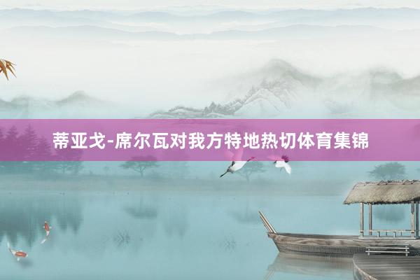 蒂亚戈-席尔瓦对我方特地热切体育集锦