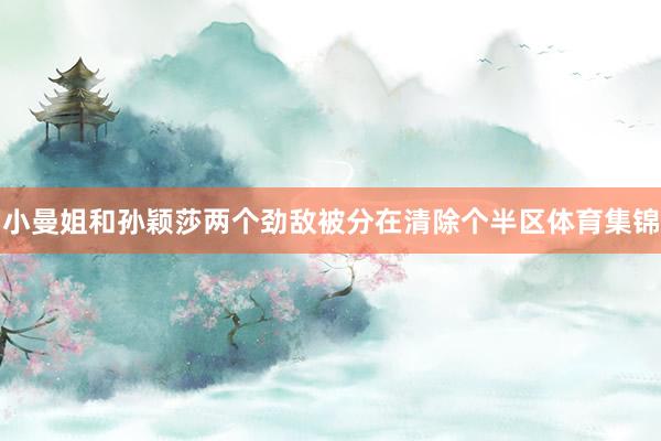 小曼姐和孙颖莎两个劲敌被分在清除个半区体育集锦