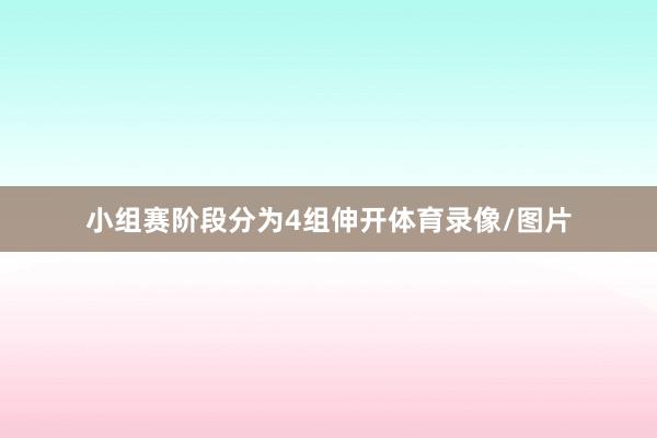 小组赛阶段分为4组伸开体育录像/图片