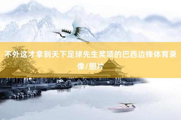 不外这才拿到天下足球先生奖项的巴西边锋体育录像/图片
