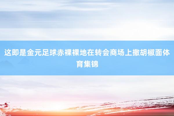 这即是金元足球赤裸裸地在转会商场上撒胡椒面体育集锦