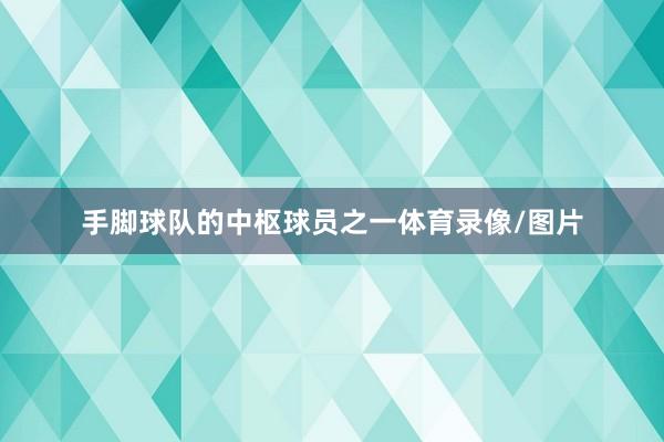 手脚球队的中枢球员之一体育录像/图片