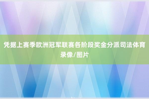 凭据上赛季欧洲冠军联赛各阶段奖金分派司法体育录像/图片