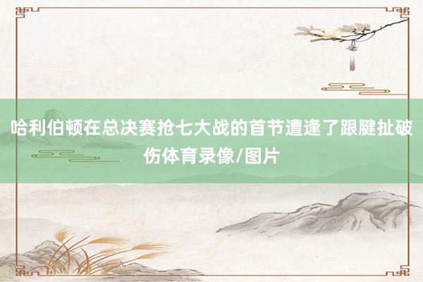 哈利伯顿在总决赛抢七大战的首节遭逢了跟腱扯破伤体育录像/图片