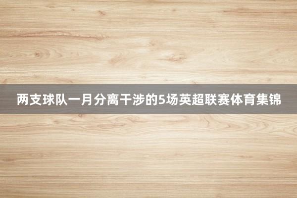 两支球队一月分离干涉的5场英超联赛体育集锦