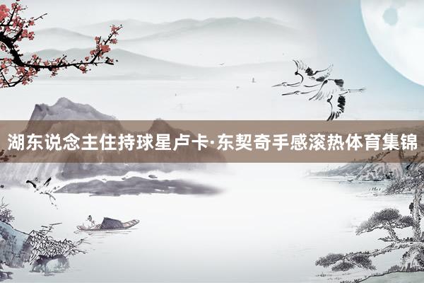 湖东说念主住持球星卢卡·东契奇手感滚热体育集锦
