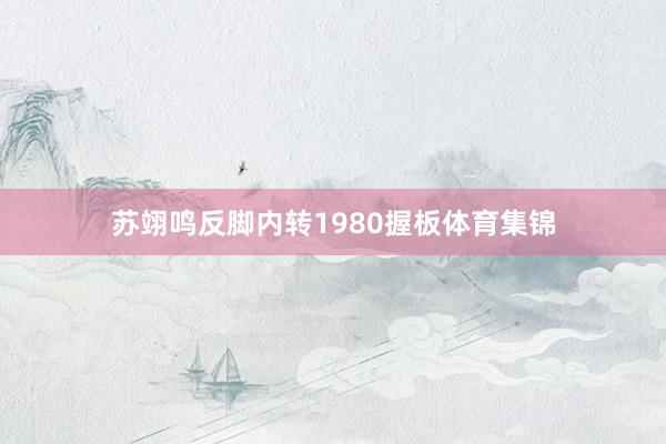 苏翊鸣反脚内转1980握板体育集锦