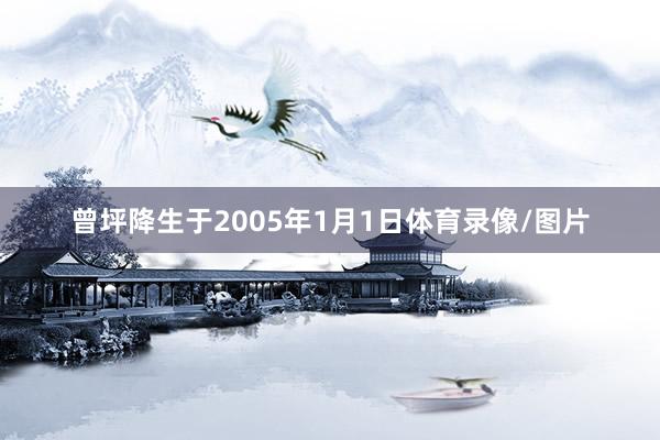 曾坪降生于2005年1月1日体育录像/图片