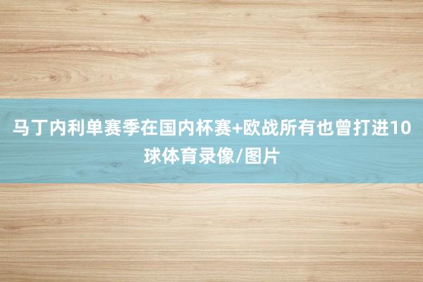 马丁内利单赛季在国内杯赛+欧战所有也曾打进10球体育录像/图片