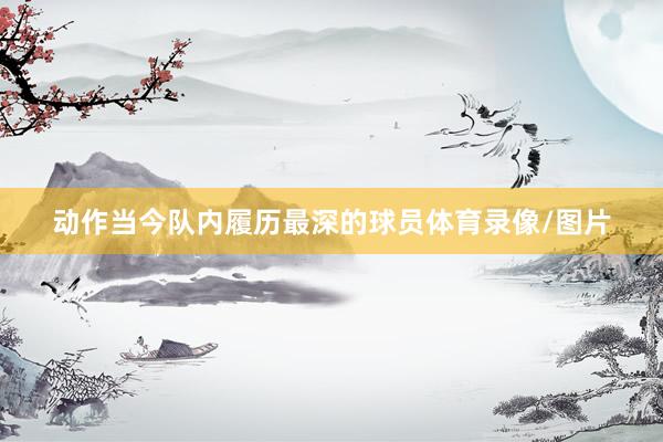 动作当今队内履历最深的球员体育录像/图片