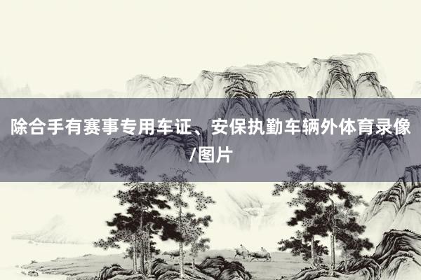 除合手有赛事专用车证、安保执勤车辆外体育录像/图片