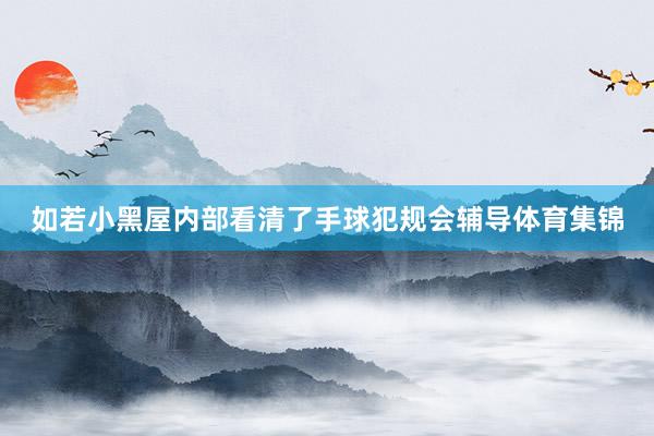如若小黑屋内部看清了手球犯规会辅导体育集锦