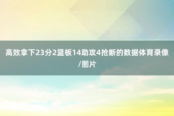 高效拿下23分2篮板14助攻4抢断的数据体育录像/图片