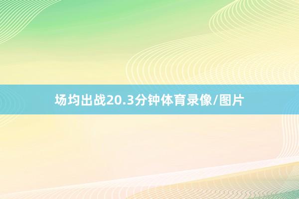 场均出战20.3分钟体育录像/图片
