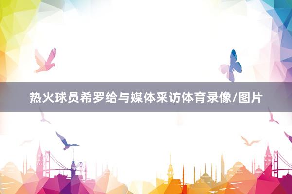 热火球员希罗给与媒体采访体育录像/图片