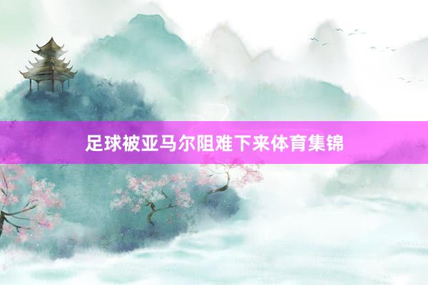 足球被亚马尔阻难下来体育集锦