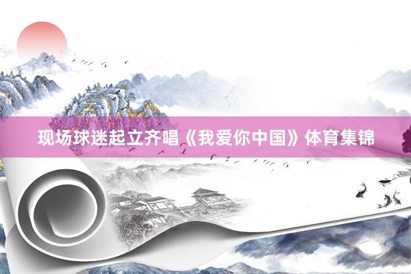 现场球迷起立齐唱《我爱你中国》体育集锦