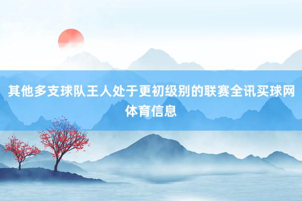 其他多支球队王人处于更初级别的联赛全讯买球网体育信息
