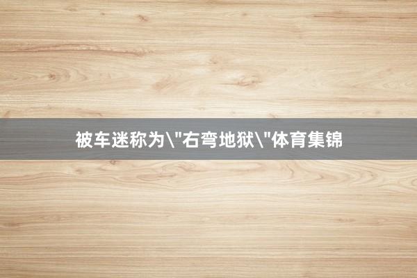 被车迷称为