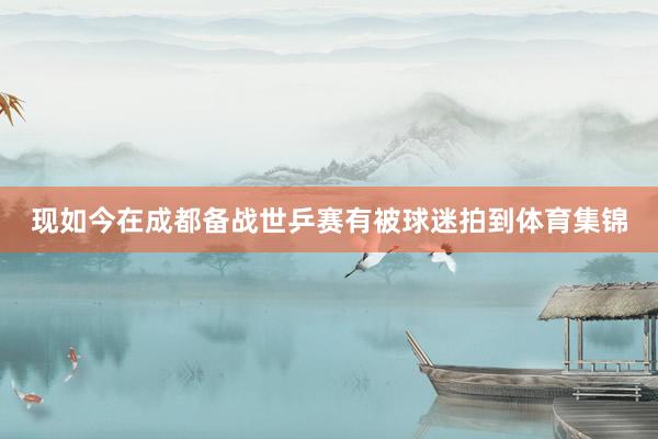 现如今在成都备战世乒赛有被球迷拍到体育集锦