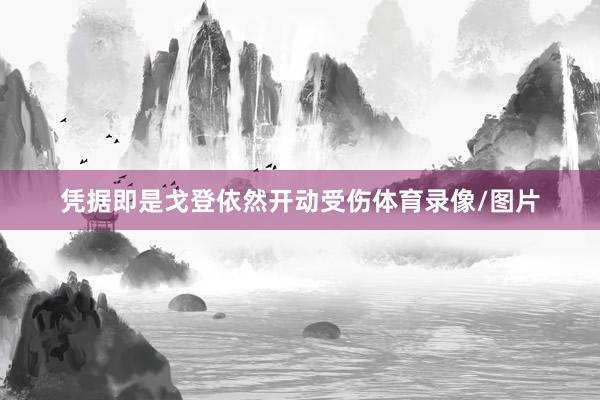 凭据即是戈登依然开动受伤体育录像/图片