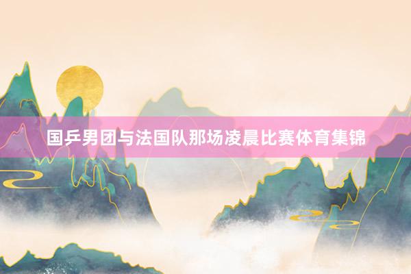 国乒男团与法国队那场凌晨比赛体育集锦