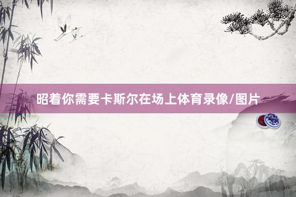 昭着你需要卡斯尔在场上体育录像/图片