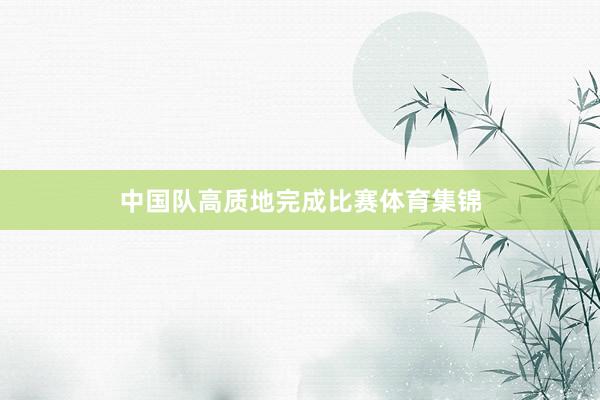 中国队高质地完成比赛体育集锦